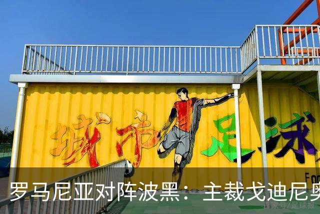 罗马尼亚对阵波黑：主裁戈迪尼奥的执法记录与统计分析